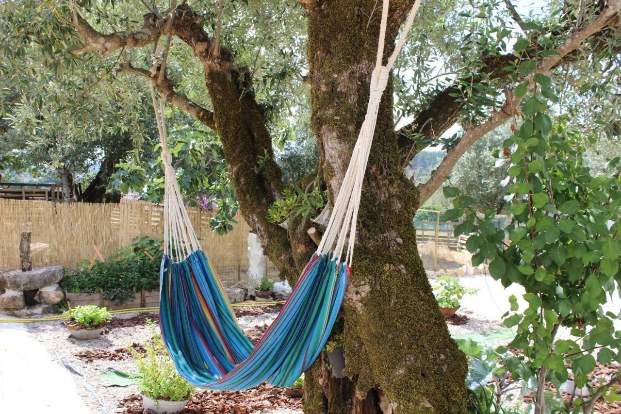 Turismo Rural Casa Da Ceu Amiais de Cima Buitenkant foto
