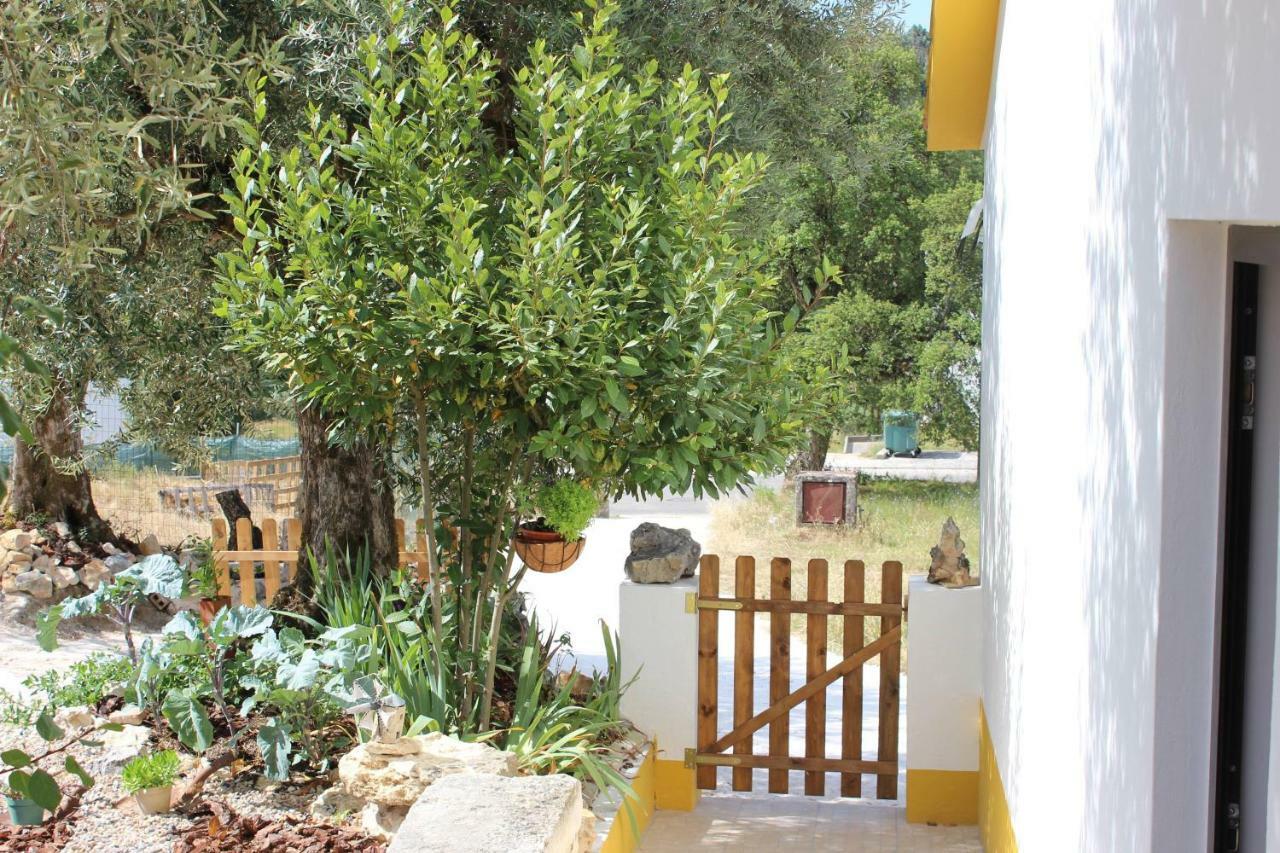 Turismo Rural Casa Da Ceu Amiais de Cima Buitenkant foto